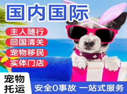 拉萨航空邮寄国际宠物托运 【国